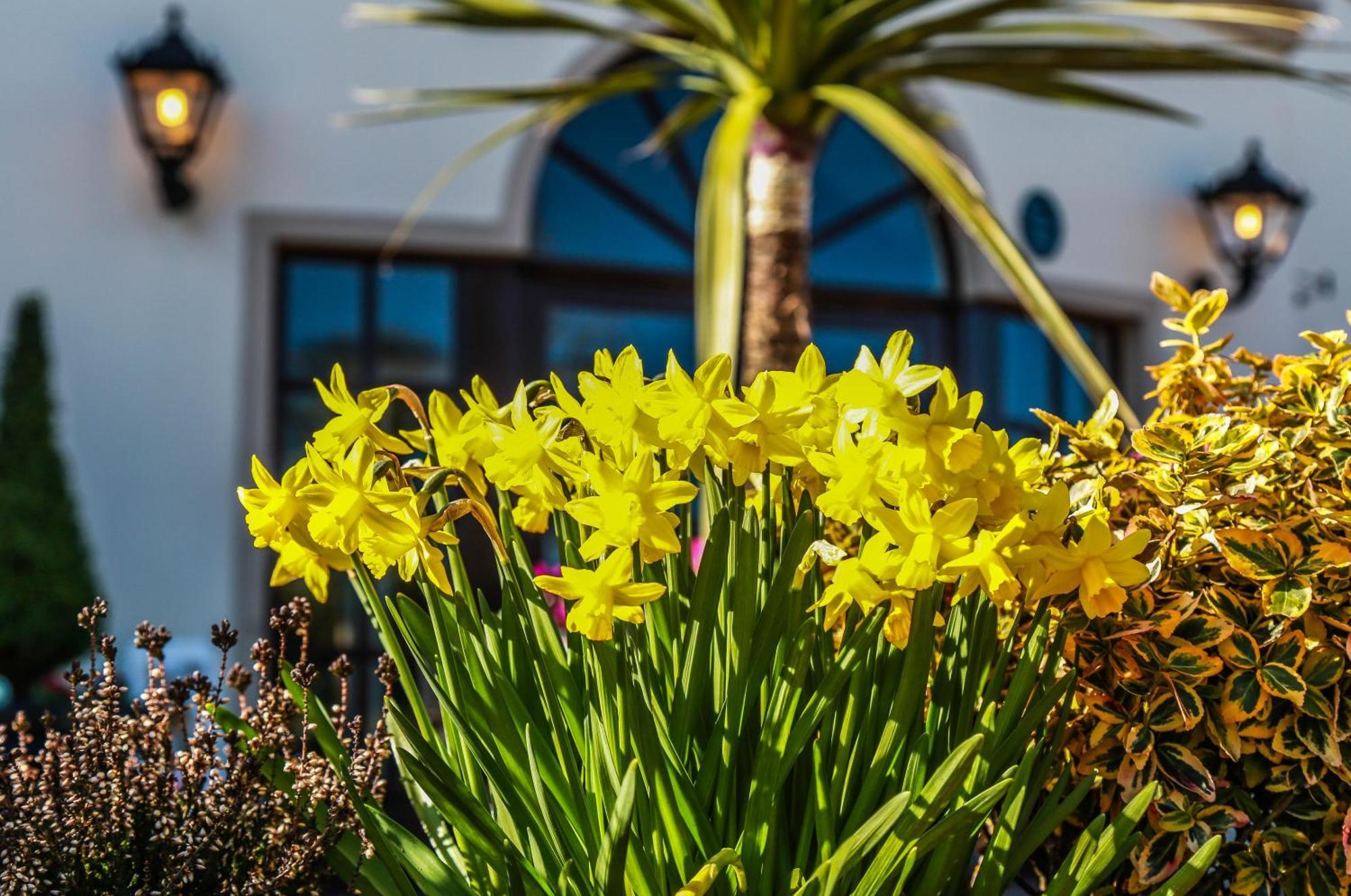 Ballymac Hotel Stonyford Extérieur photo